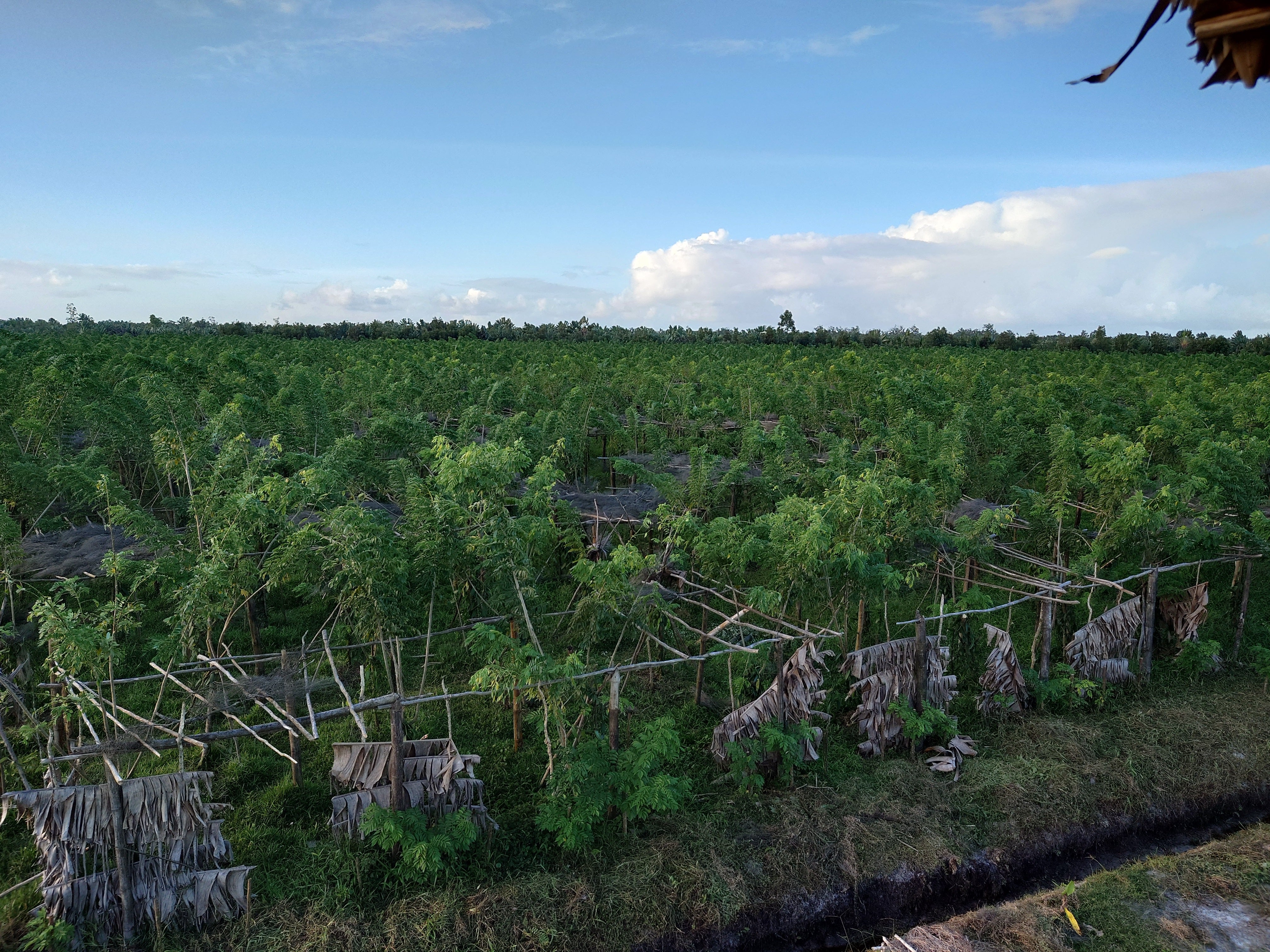 Pratiche etiche e sostenibili