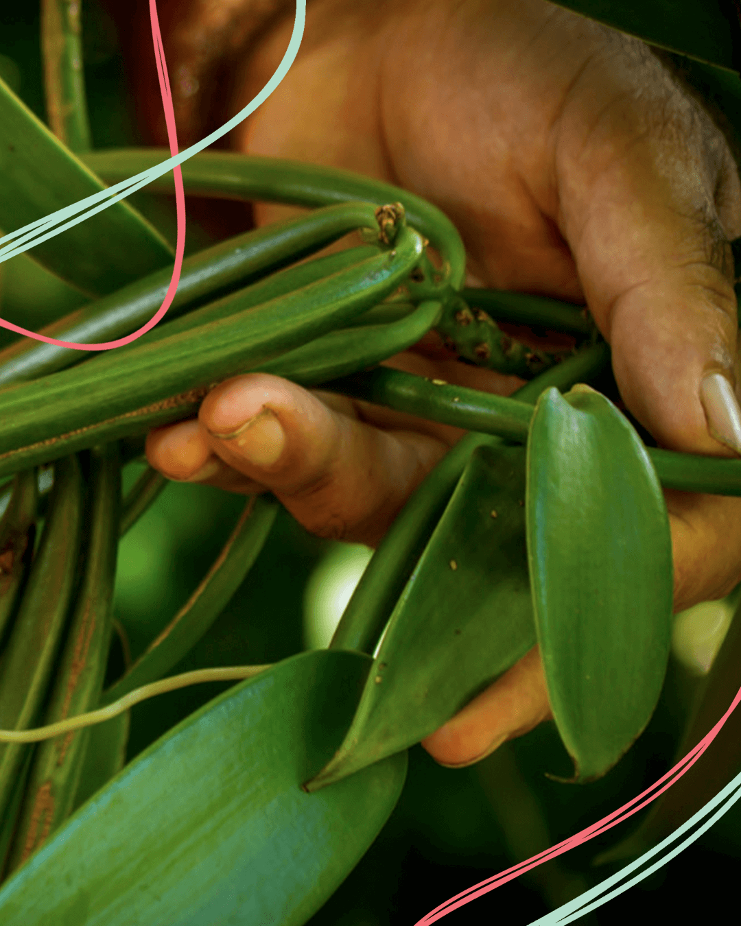 Pratiche etiche e sostenibili