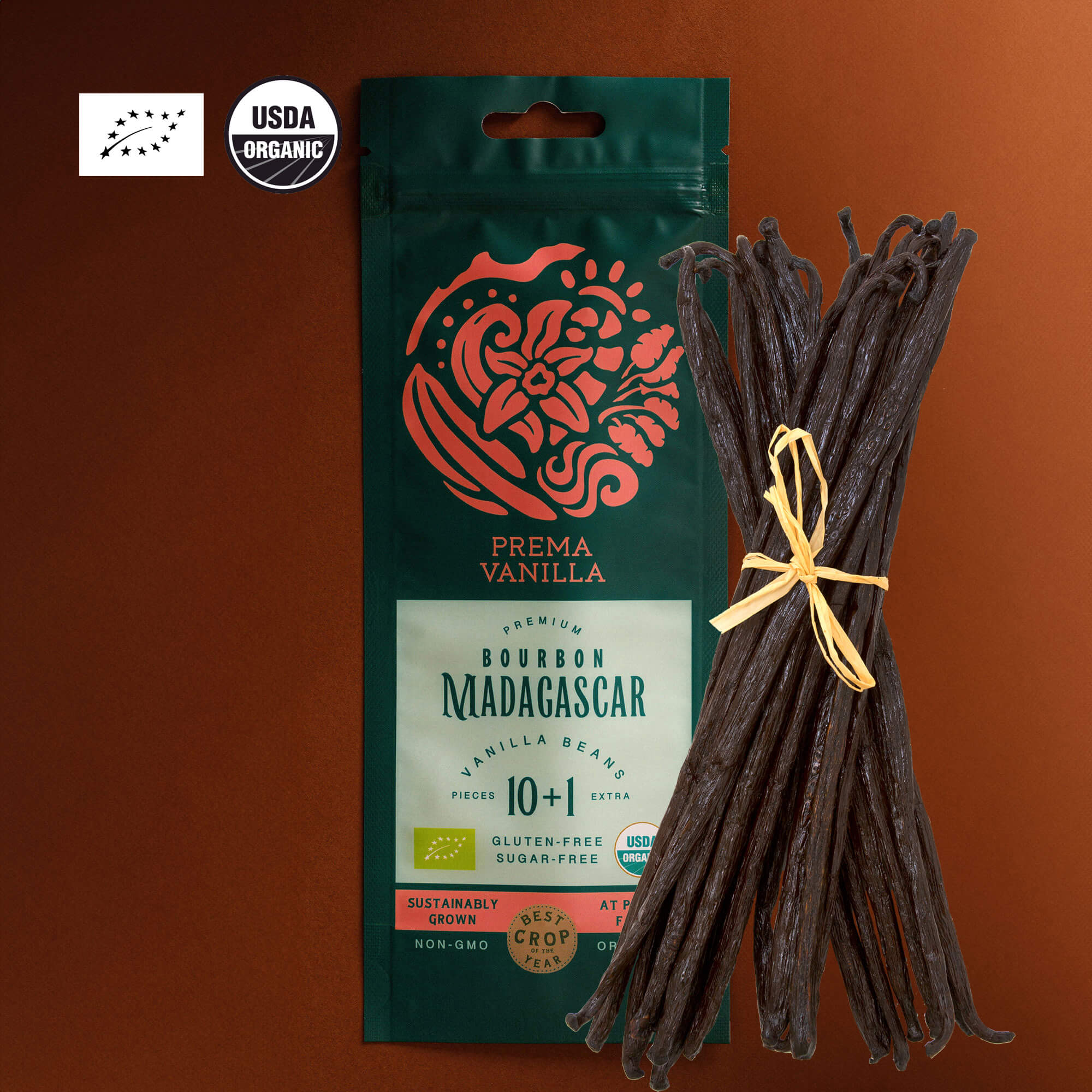 Baccelli di vaniglia biologica gourmet del Madagascar (14-18 cm)