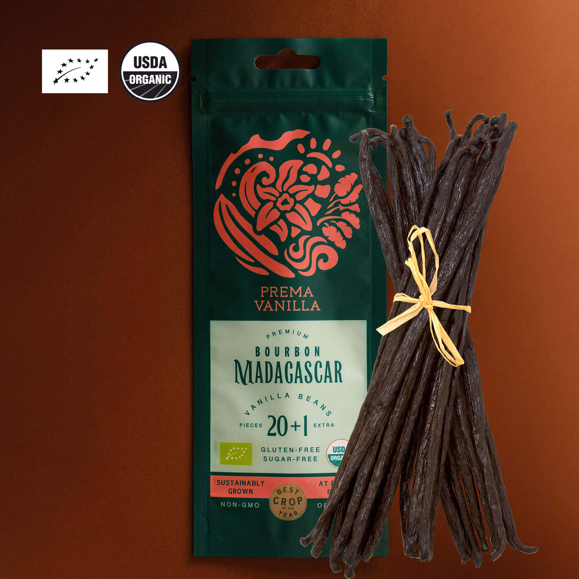 Baccelli di vaniglia biologica gourmet del Madagascar (14-18 cm)