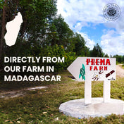 Vaniglia Bourbon del Madagascar in polvere pura