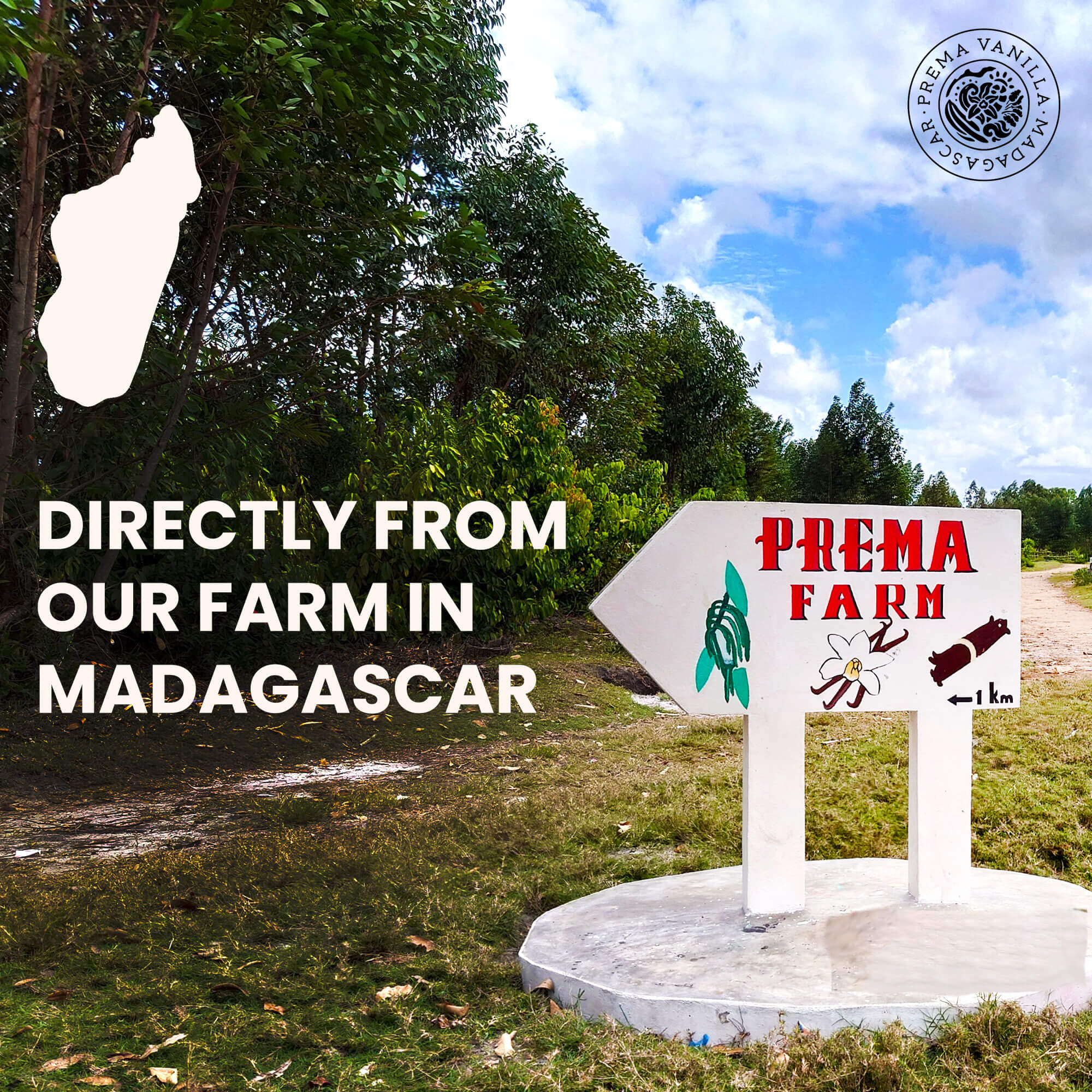 Vaniglia Bourbon del Madagascar in polvere pura